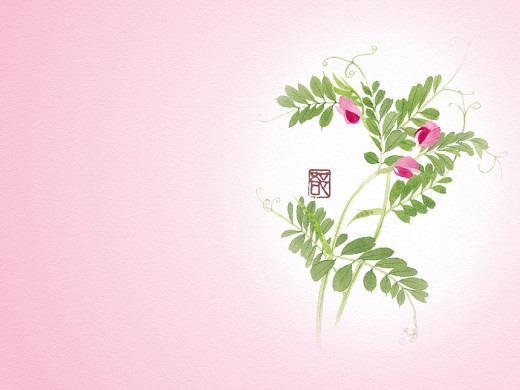 303252 (a): :1024x768
